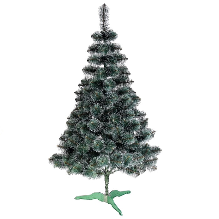 Сосна Крымская Белоснежная 220 см, d нижнего яруса 110 см