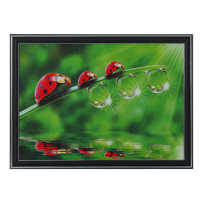 Картина "Божьи коровки" 28*38 см