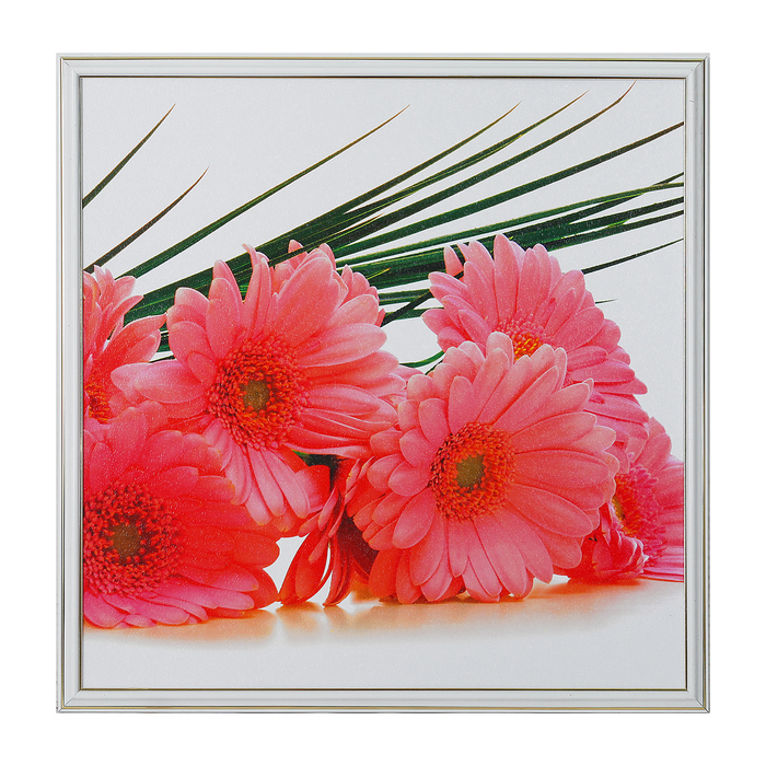 Картина "Букет розовых гербер" 53*53 см