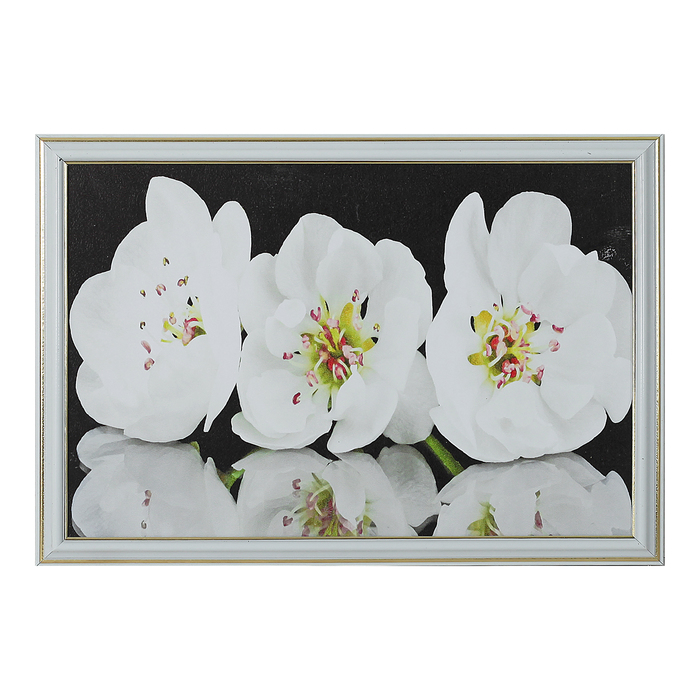 Картина "Белые бутончики" 28*38 см