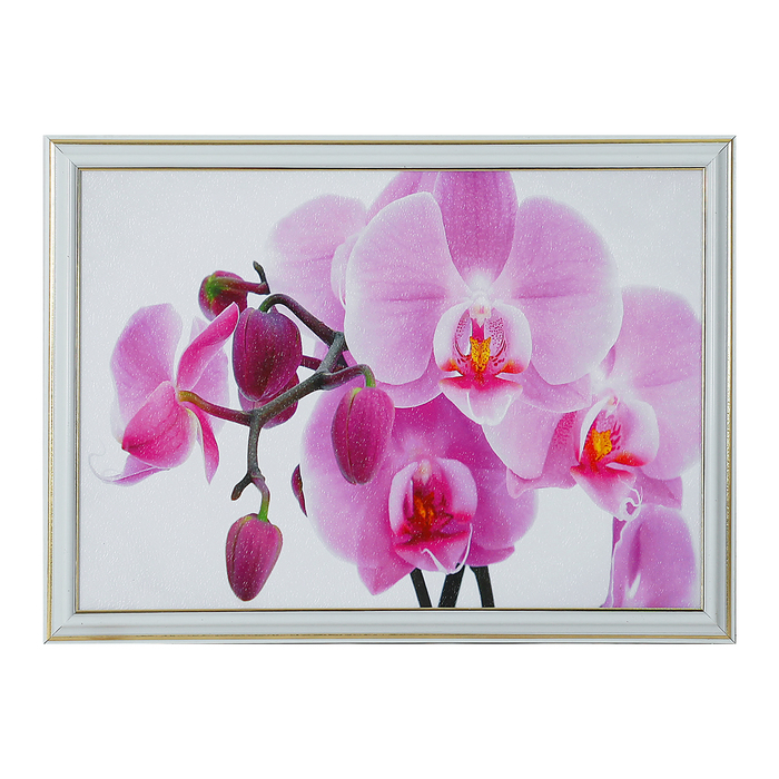 Картина "Нежная орхидея" 28*38 см