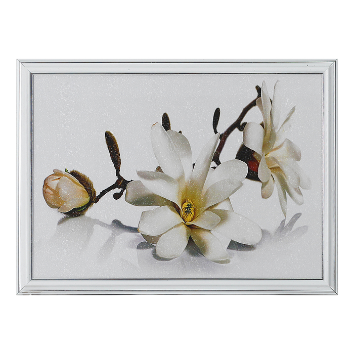 Картина "Белые цветы на белом фоне" 28*38 см
