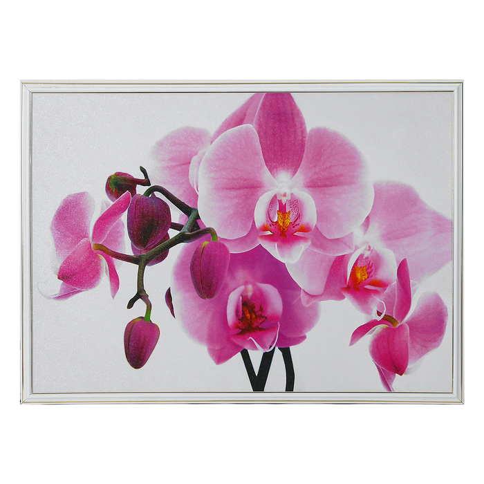 Картина "Нежная орхидея" 53*73 см