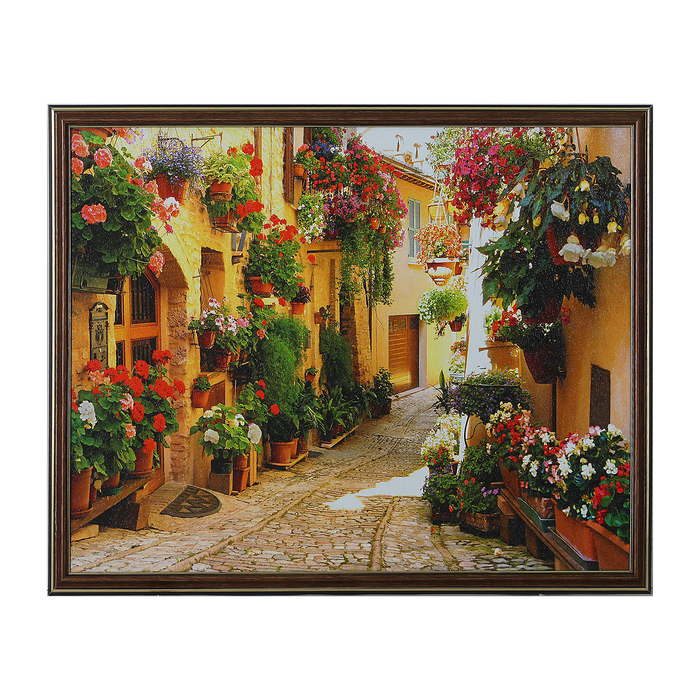 Картина "Цветочная улица" 43*53 см