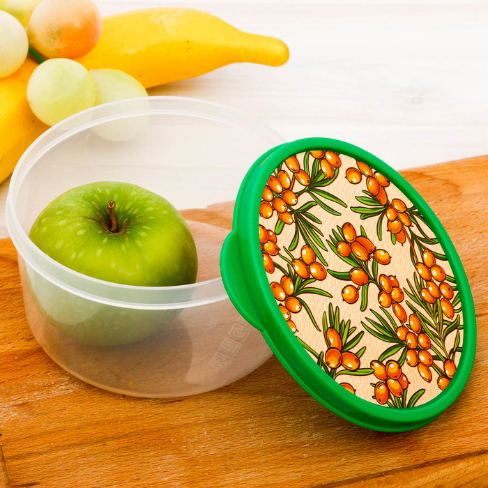 Ланч-бокс "Облепиха", 500 мл