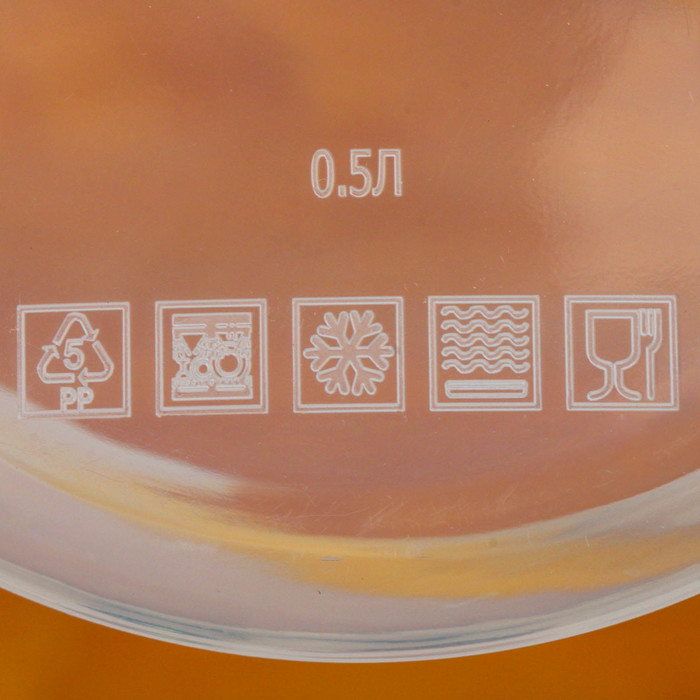 Ланч-бокс "Облепиха", 500 мл