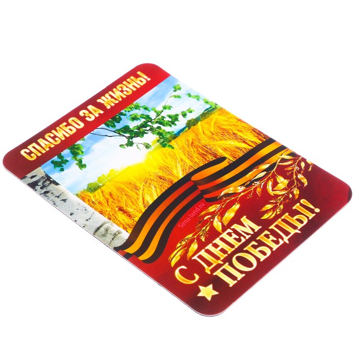 Магнит с лентой "Спасибо за жизнь"