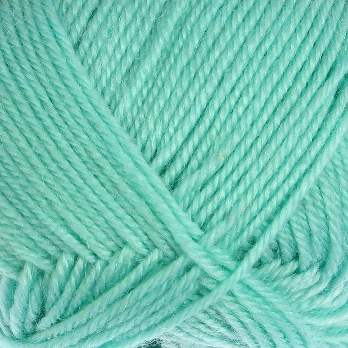 Пряжа "Adelia Lucas" 70% шерсть, 30% акрил 218м/100гр (19 мята)