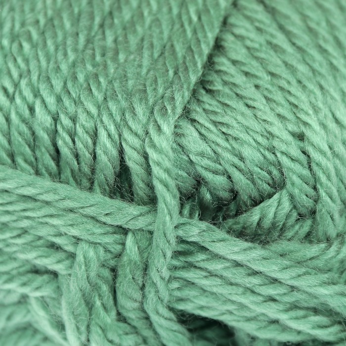 Пряжа "Adelia Rada" 100% акрил 80м/100гр (027 св.зеленый)