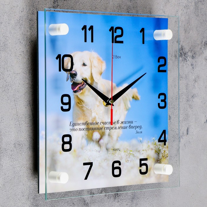 Часы настенные квадратные "Белый лабрадор", 25х25 см