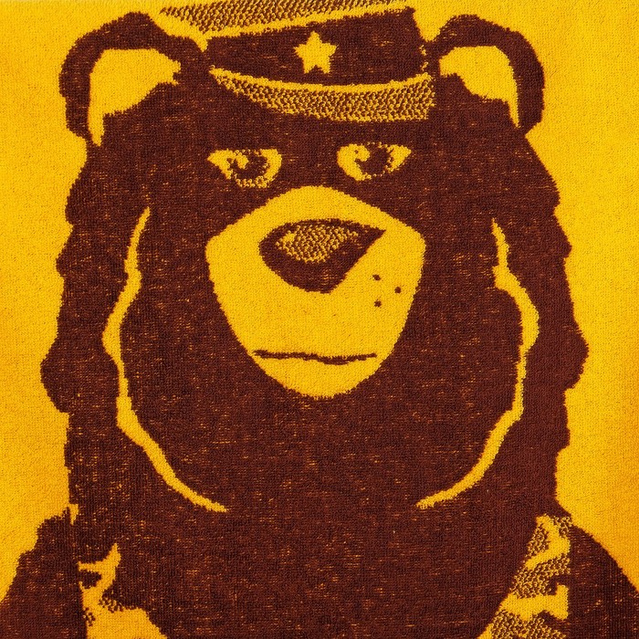 Полотенце махровое Capitan Bear ПЛ-2602-3140, 50х90 см, цв. 10000, корич, 420 г/м, 100% хл 30148