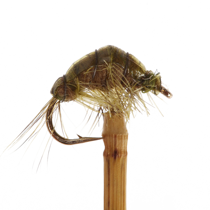 Мушка Gammarus Amphipod, 8, olive