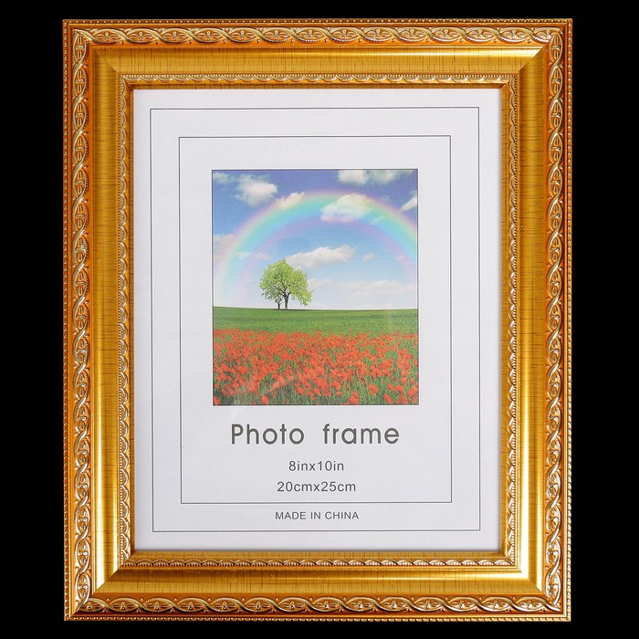 Фоторамка пластик 20х25 см "Вильнюс" золотая