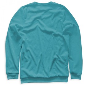 

Свитшот мужской «Будущий врач», размер S