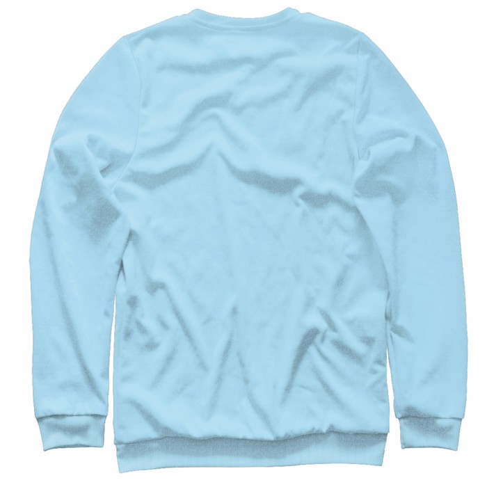 Свитшот мужской Dogtor, размер XXXL VRC-851985