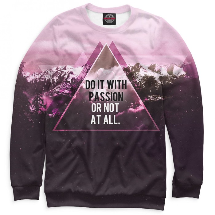 Свитшот мужской Do It With Passion or Not at All, размер M NAD-452647