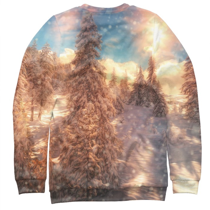 Свитшот мужской "Зима", размер L PEY-208520