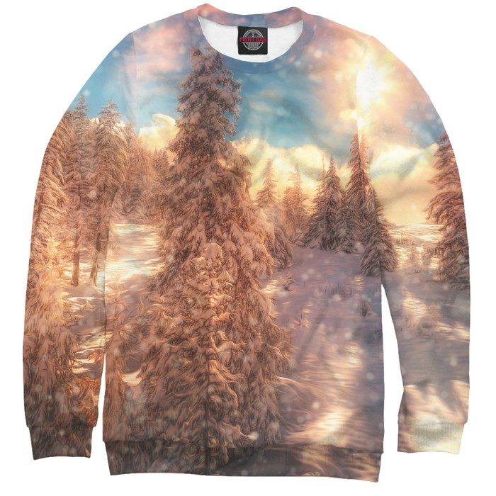 Свитшот мужской "Зима", размер 4XL PEY-208520