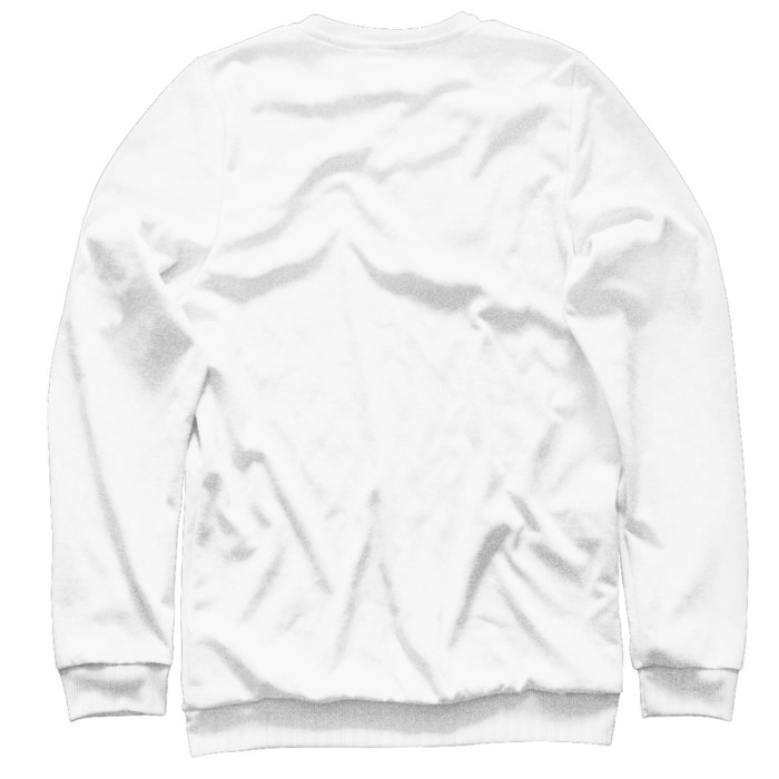 Свитшот мужской "Профессор Фортран", размер XL ITT-406928