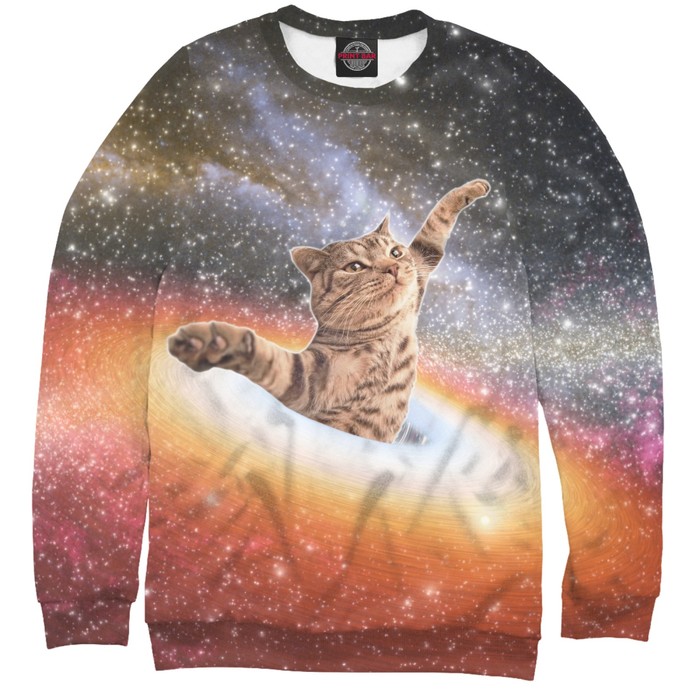 Свитшот мужской "Кот в космосе", размер M APD-512186
