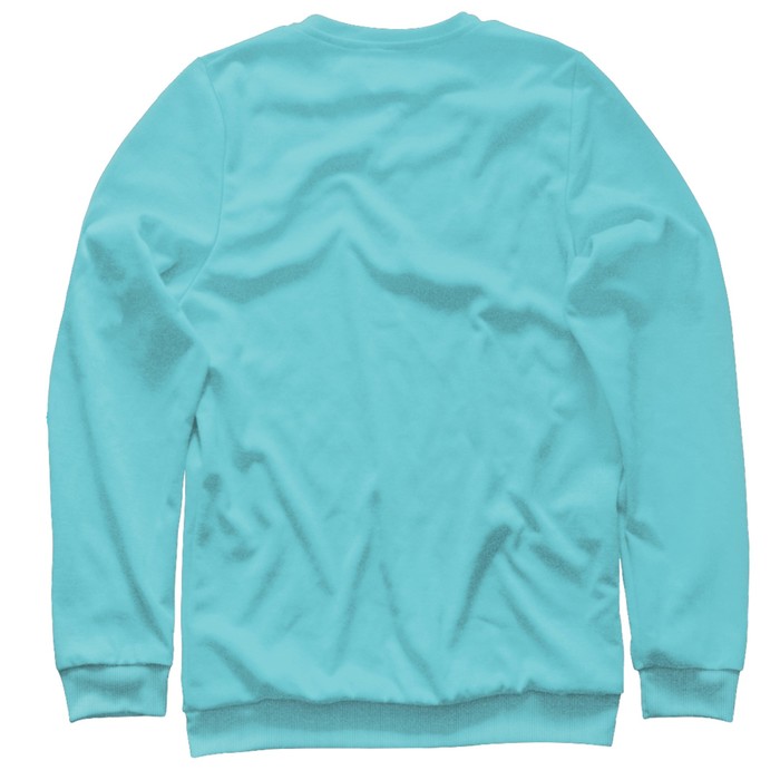 Свитшот женский "Физрук", размер L PRP-460233