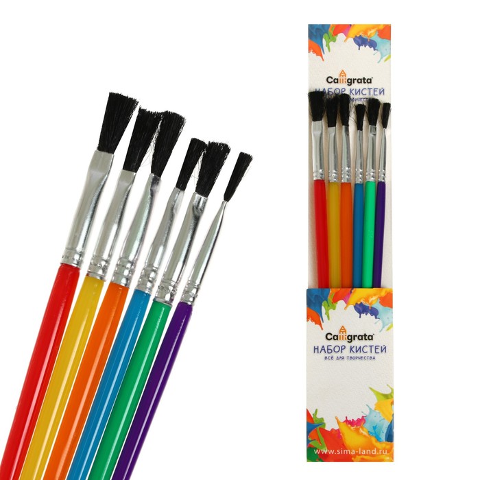 фото Набор кистей, нейлон, плоские, 6 штук, с пластиковыми цветными ручками calligrata
