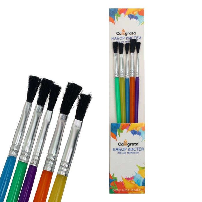 фото Набор кистей, нейлон, плоские, 5 шт., с пластиковыми цветными ручками calligrata