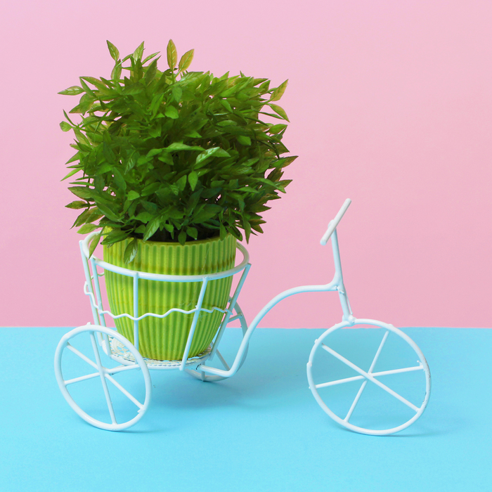 Подставка для цветов "Велосипед" с корзинкой ( d-8см) 10*18*13 см
