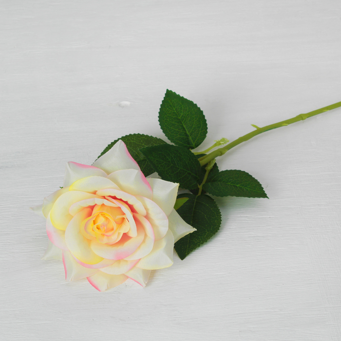 Цветы искусственные "Роза Портленд" 10*55 см, бело-розовая