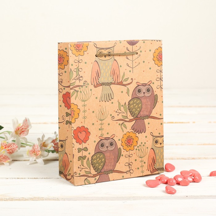 Пакет крафт "Совы", 19 х 8 х 24 см