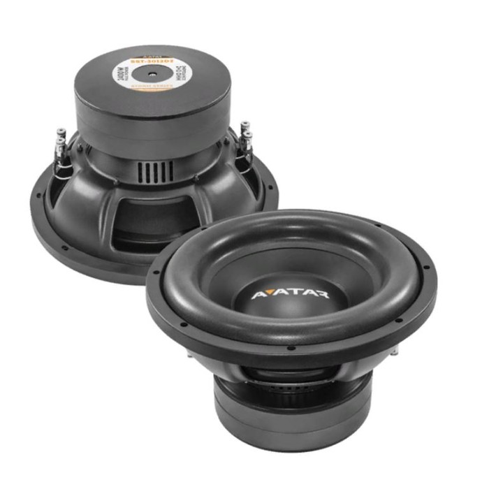 Сабвуфер AVATAR SST-3012D2, 12", 2+2Ом