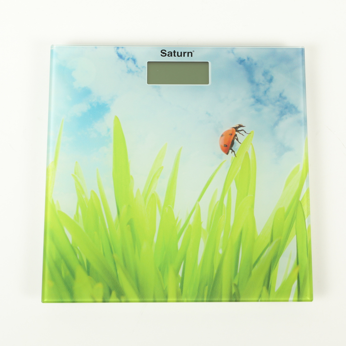 Весы напольные Saturn ST-PS0282, электронные, до 180 кг, рисунок голубой / зелёный