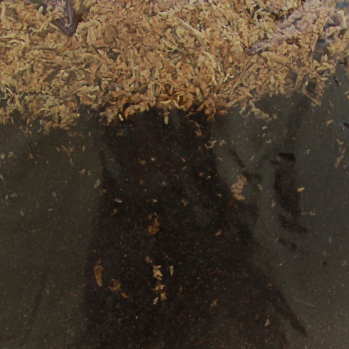 Субстрат питательный Бромелия Эко Сад 1л.