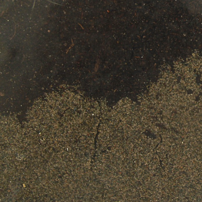 Субстрат питательный Драцена Эко Сад 1л.