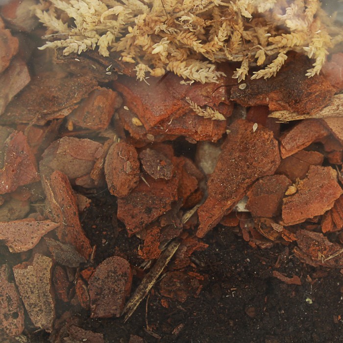 Субстрат питательный Эпифит Эко Сад 1л.