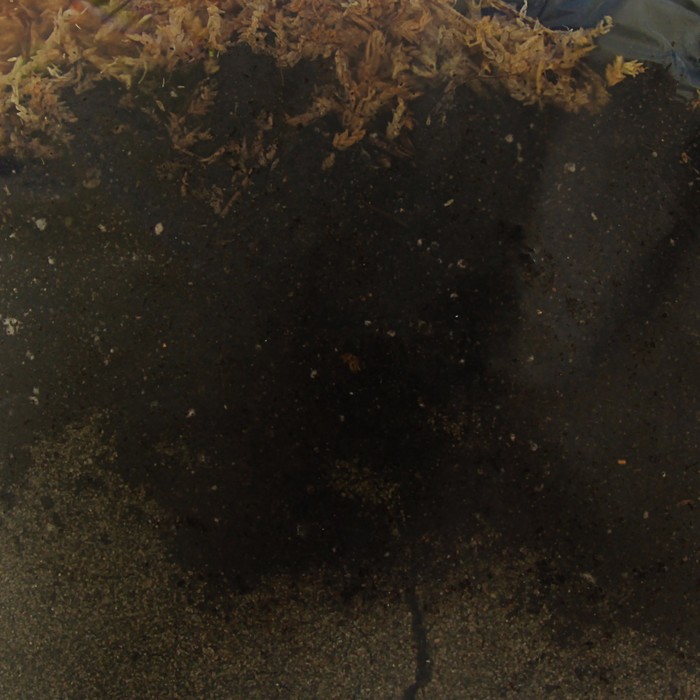 Субстрат питательный Фиалка Эко Сад 1л.