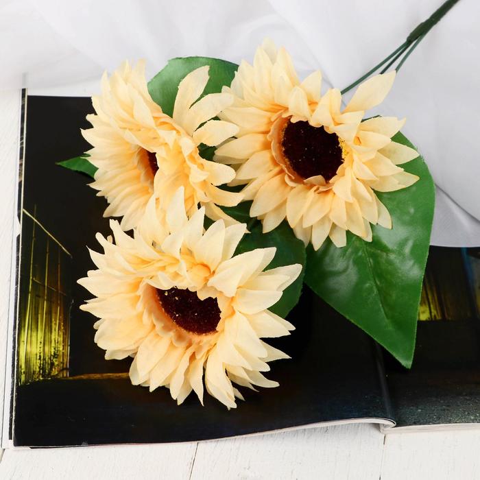 Цветы искусственные "Астры" три бутона 10*55 см, кремовый