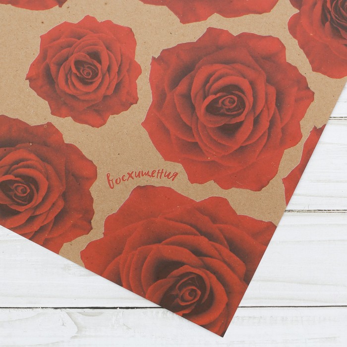 Бумага упаковочная крафтовая «Вдохновения», 50 × 70 см