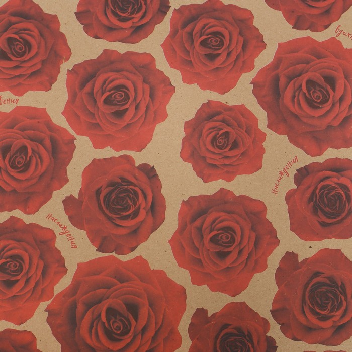 Бумага упаковочная крафтовая «Вдохновения», 50 × 70 см