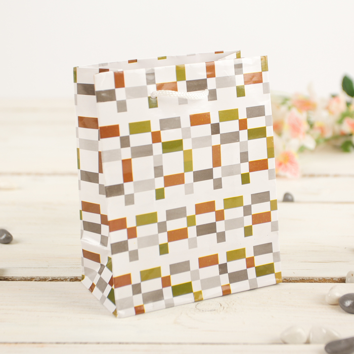Пакет подарочный "Клетка", 12 х 5 х 15 см
