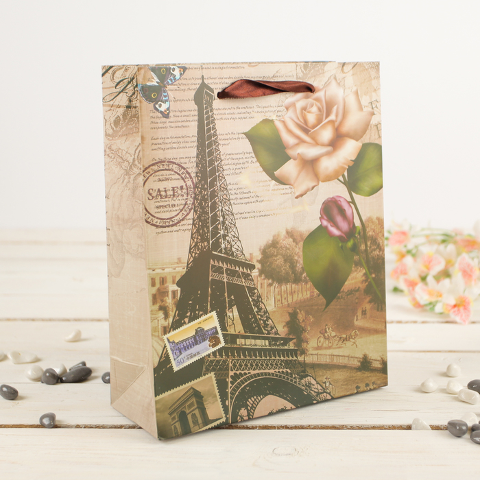 Пакет подарочный "Эйфелева башня", 20 х 8 х 25 см