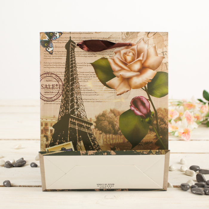 Пакет подарочный "Эйфелева башня", 20 х 8 х 25 см