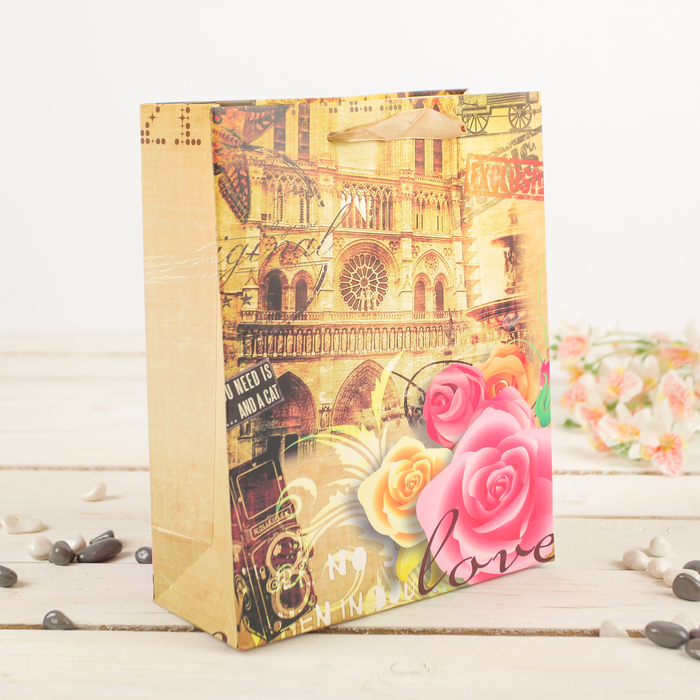 Пакет подарочный "Путешествие", 20 х 8 х 25 см