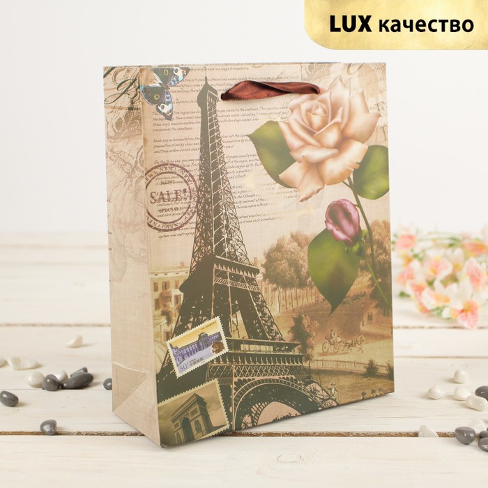 Пакет подарочный "Эйфелева башня", 26 х 10 х 32 см
