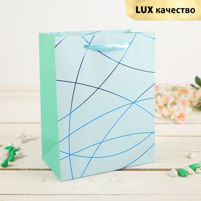 Пакет подарочный "Линии", голубой, 30 х 12 х 42 см
