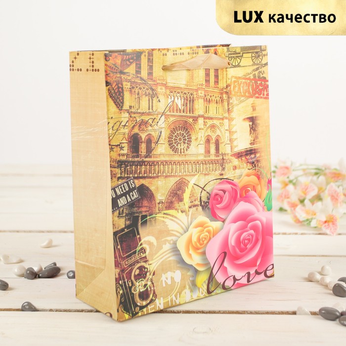 Пакет подарочный "Путешествие", 30 х 12 х 42 см