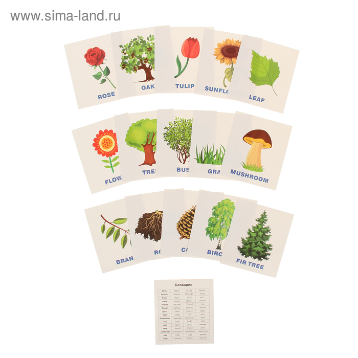 цена Обучающие карточки English «Растения»