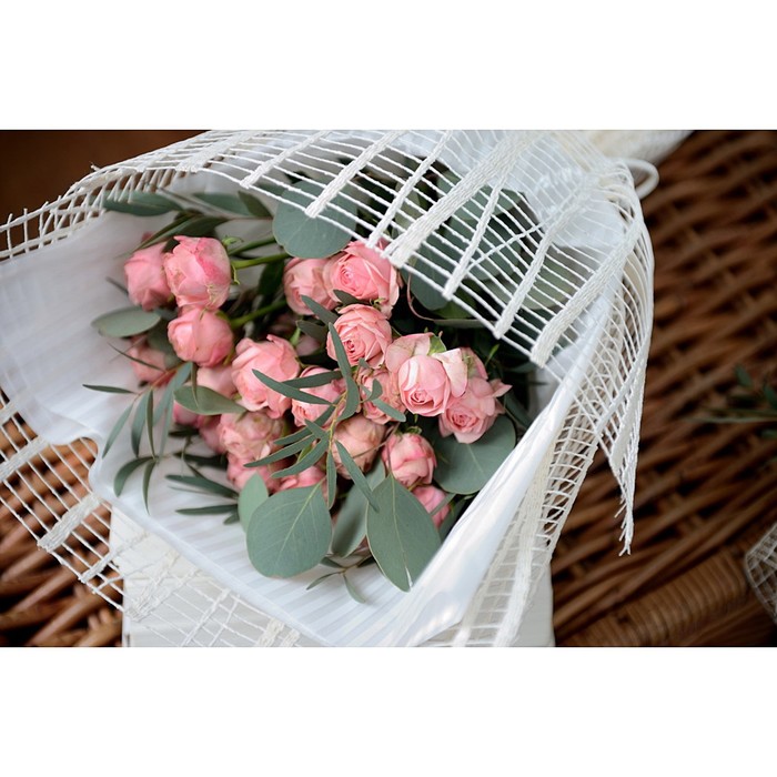 Сетка «Мистраль», BOZA, зелёное яблоко, 0,53 x 4,57 м