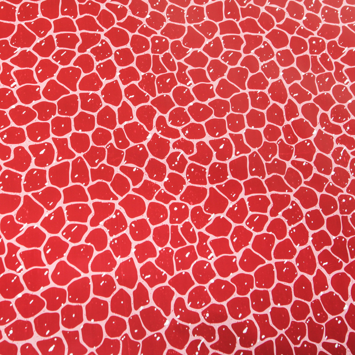 Пленка двухсторонняя с печатью 70 х 100 см