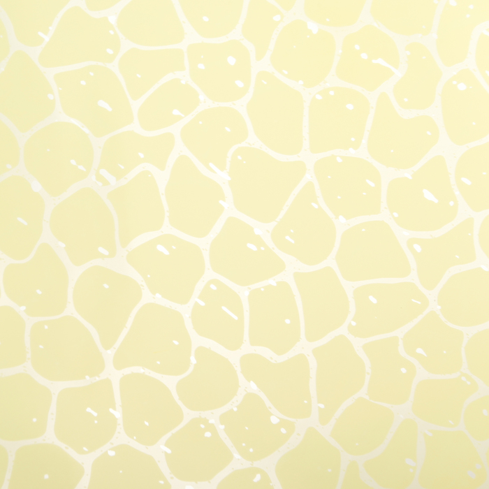 Пленка двухсторонняя с печатью 70 х 100 см